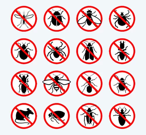 Control pests